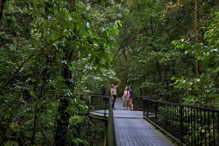 Queensland: Cape Tribulation, Daintree, and Mossman Day Trip - Pickup and Departure Times