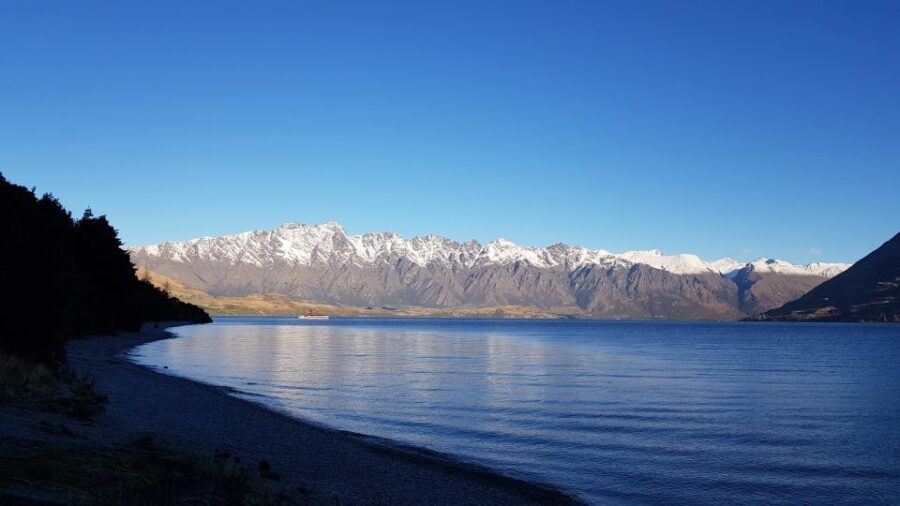 Queenstown: Craft Beer Brewery Tour With Lunch - Tour Overview and Pricing