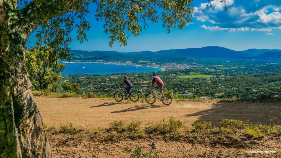 Ramatuelle: Tracks & Tasting Winery Tour by Mountain E-Bike - Tour Overview