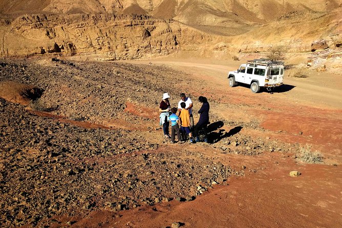 4 Best Tours In Sde Boker