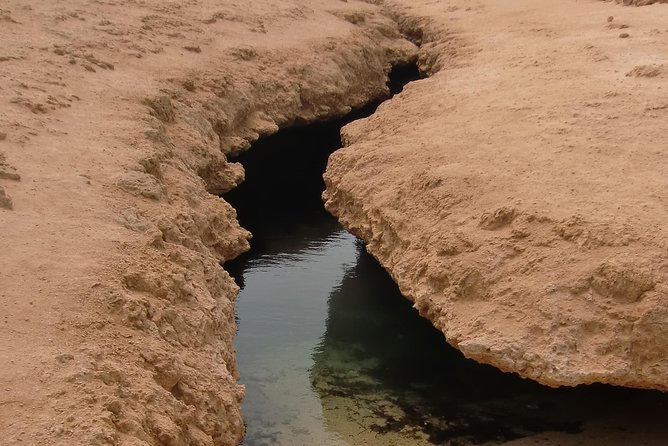 ras-mohamed-by-bus-from-sharm-elsheikh-tour-itinerary