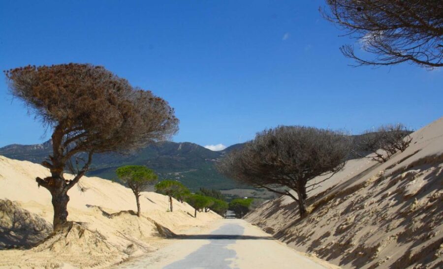 3 Best Bike Tours In Tarifa