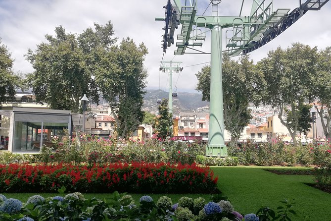 Real Life, Mountains & Sea Cliffs + Lunch + Levada Walk - 6 Hours