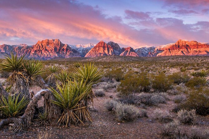 Red Rock Canyon Scooter Tour From Las Vegas - Tour Overview and Details