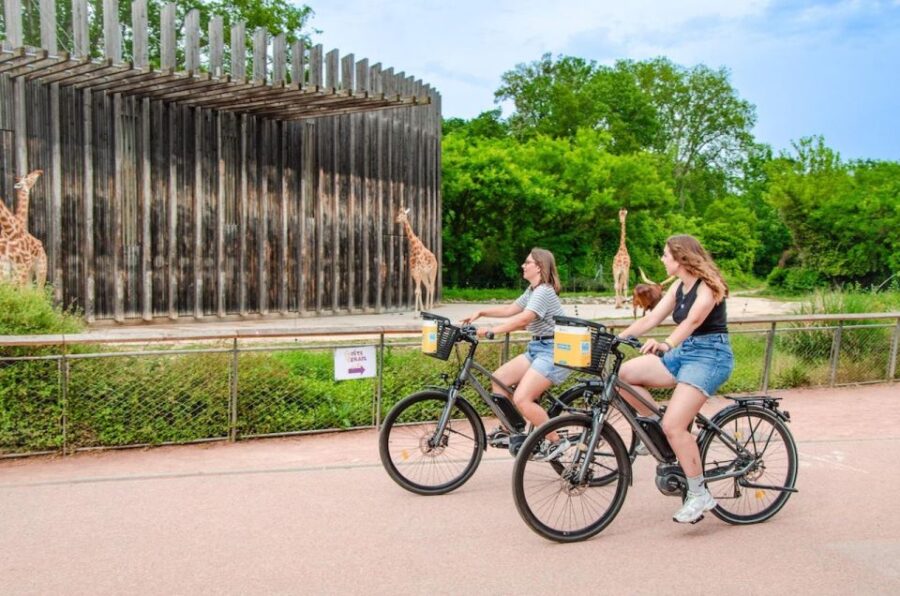 Rent a Ebike for a Half-Day (-4h) - Rental Details