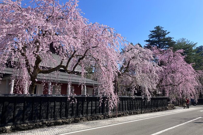 rental-bicycle-with-electric-assist-satoyama-cycling-tour-location-and-meeting-point