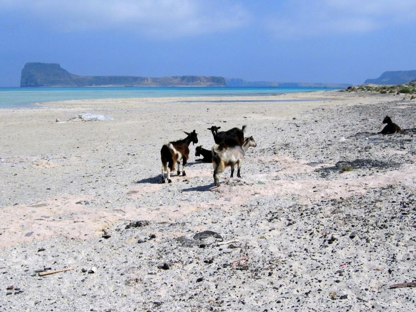 Rethymno: Gramvousa and Balos Lagoon Tour