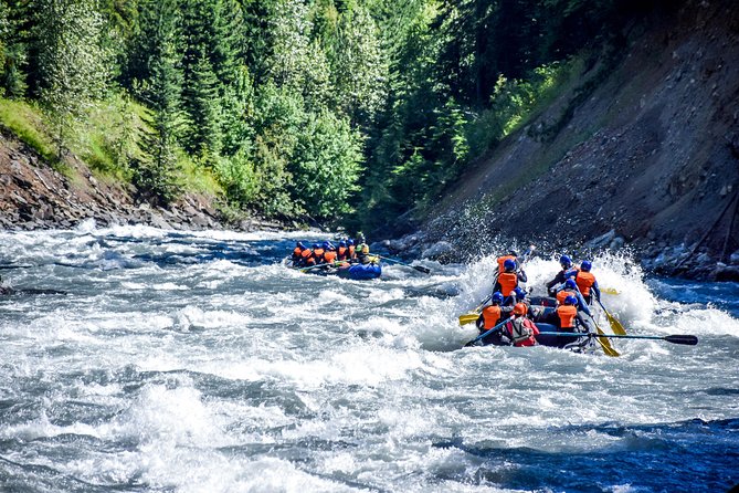 revelstoke-rapids-about-revelstoke-rapids