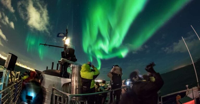 Reykjavik: 2-Hour Northern Lights by Boat With Backup Plan