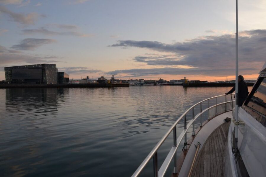 Reykjavik: Northern Lights Motor Yacht Cruise - Activity Overview