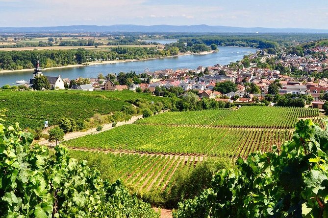 Rhine Valley Wine Tasting Tour From Frankfurt and Mainz - Wineries for Tastings and Cellar Tours