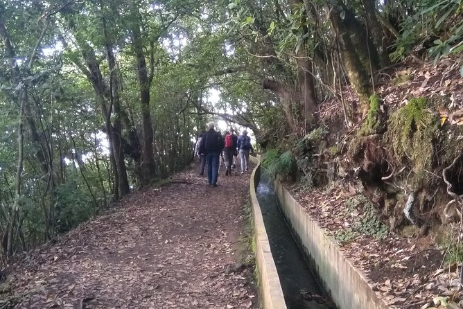 Ribeiro Frio – Portela