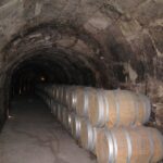 ribera-del-duero-wineries-guided-tour-wine-tasting-from-madrid-discover-renowned-wine-producers