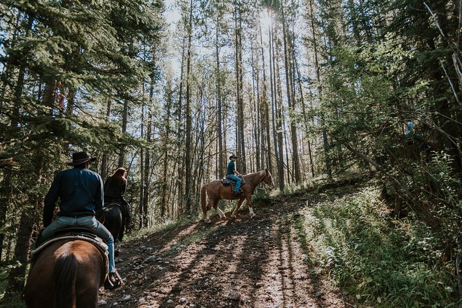 Ridge Ride 2-Hour Horseback Trail Ride in Kananaskis