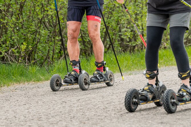 rollerski-adventures-activity-overview
