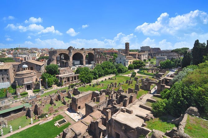 rome-colosseum-roman-forum-and-palatine-hill-guided-tour-colosseum-exploration