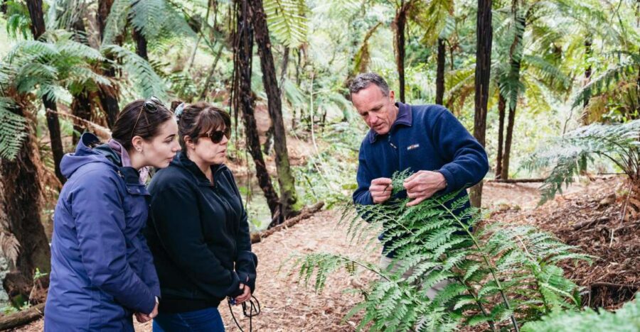 Rotorua: Explore The Lakes Half-Day Morning Tour