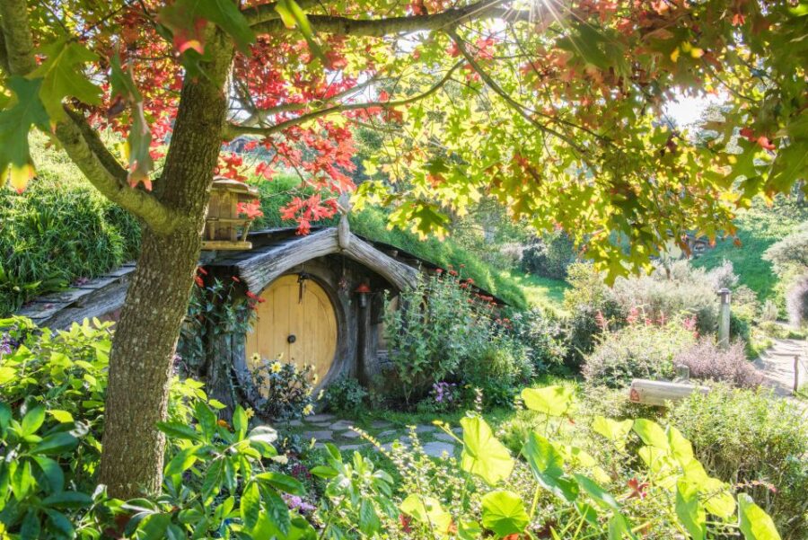 Rotorua: One-Way Trip to Auckland via Hobbiton & Waitomo