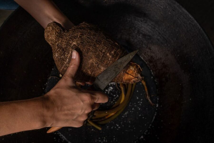 Rotorua: the MāOri Cultural Experience With Dinner