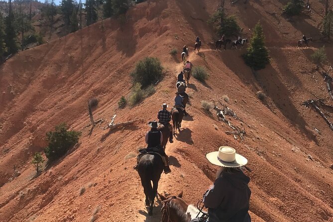 Rubys Horseback Adventures Utah Thunder Mt. 4 Hour Ride