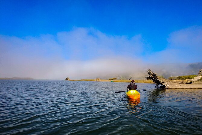 Russian River Kayak Tour at the Beautiful Sonoma Coast - Overview of the Sonoma Coast Tour