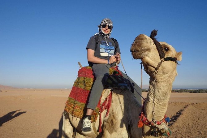 Safari Full Day Quad Jeep And Camel Ride With Dinner In Hurghada - Quad Bike and Dune Buggy Adventure