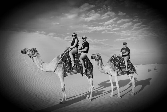 Safari Half-Day Adventure From Abu Dhabi