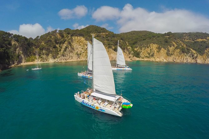 Sailing Along the Costa Brava in a Big Catamaran With Buffet-Barbecue and Bathing Inlet. Drinks Included.
