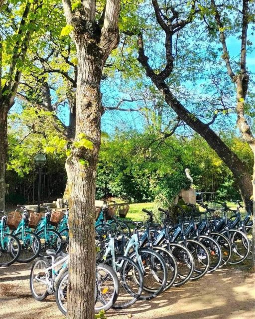 saint-aygulf-bike-rental-rental-details
