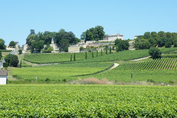 saint-emilion-wine-tour-half-day-overview-of-the-saint-emilion-region