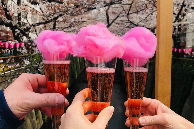sake-tasting-and-more-under-the-magical-cherry-blossoms-location-and-timing