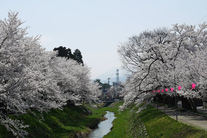 sakura-park-and-old-town-private-tour-meeting-point-and-end-point