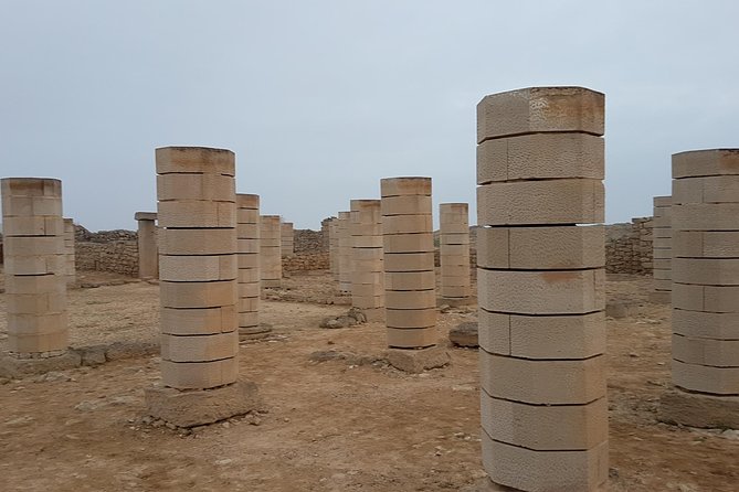 Salalah City Tour: Nature, Culture, History, Food, Shopping - Overview of Salalah City Tour