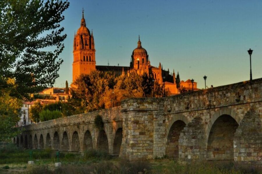 Salamanca: Private Walking Tour With a Local Guide