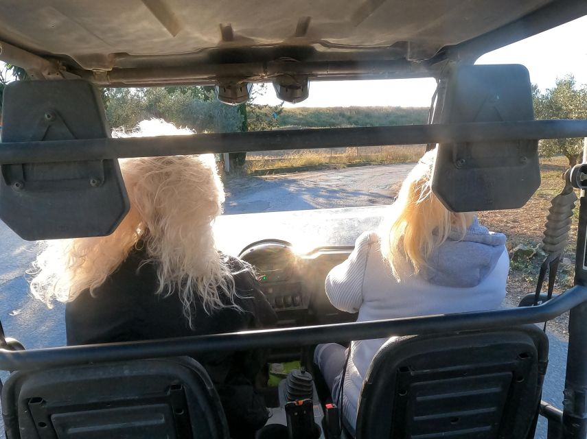 Salou: Buggy Safari With Hotel Transfer - Driving Experience