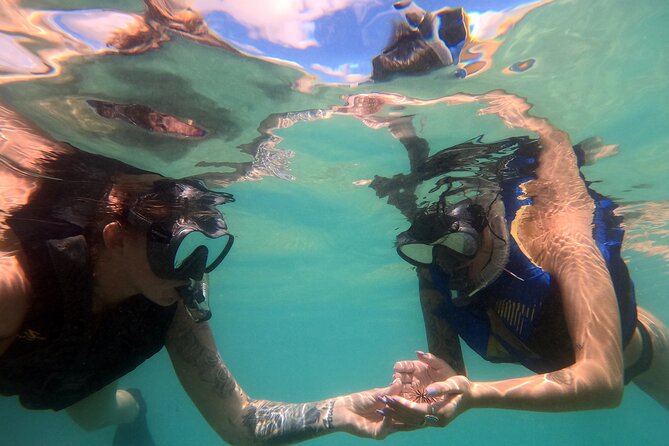 San Juan Guided Snorkel Tour With Videos