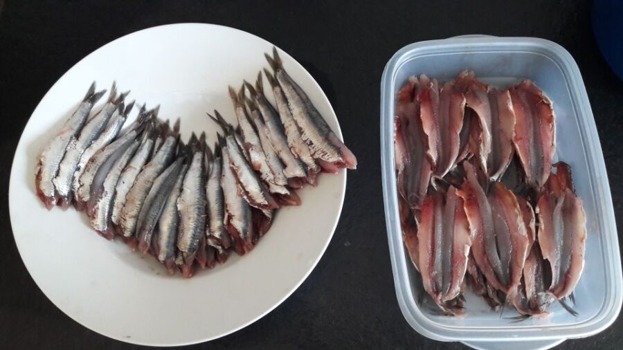 San Sebastian: Private Gastronomy Tour and Cooking Class - Overview of the Experience