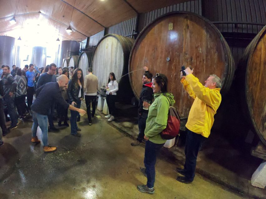 san-sebastian-unique-and-fun-basque-cider-culture-tour-tour-overview