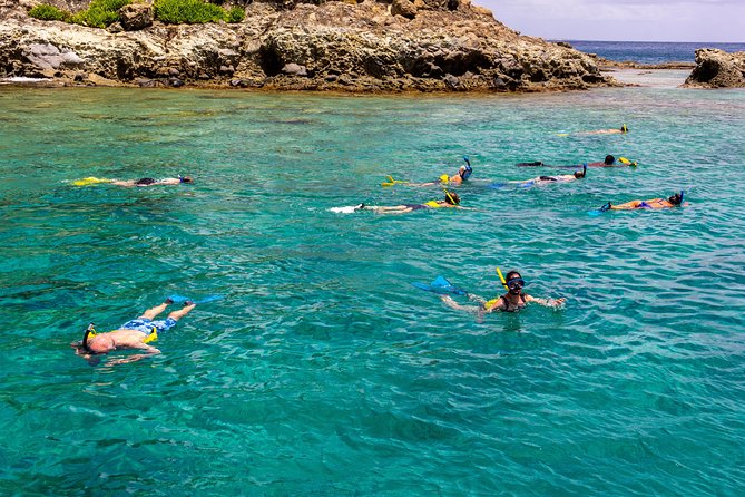 Sand Dollar Half Day Snorkel Trip - Snorkeling Experience