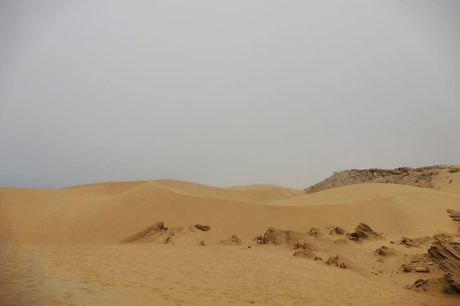 Sandboarding Guided Experience From Agadir - Overview of the Experience