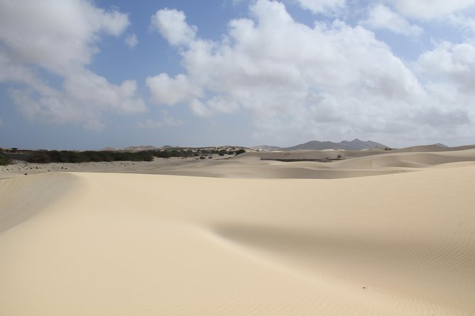 8 Best Tours In Boa Vista