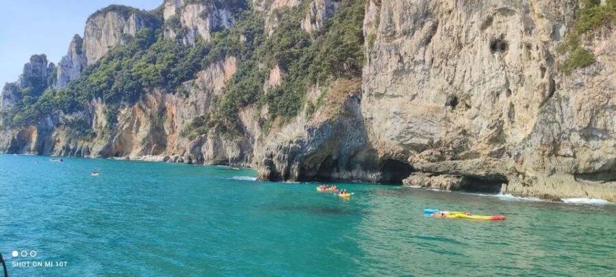 Santona: Anchovy Factory Tour and Boat Trip