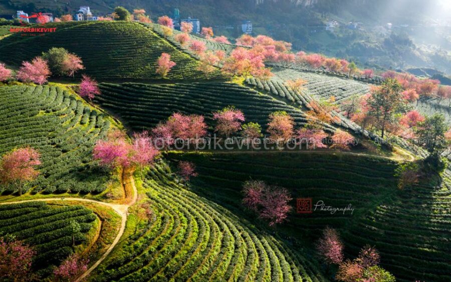 SAPA 2 Days - Classic Hikking Tour - Booking Requirements