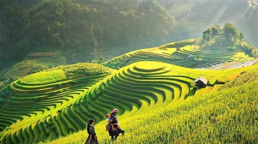 Sapa 3 Days 2 Nights Trekking Tour - Tour Overview