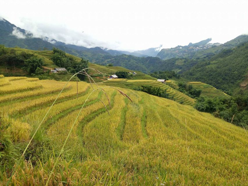 Sapa Bike Tour to Muong Hoa Valley and Local Life Experience - Tour Overview