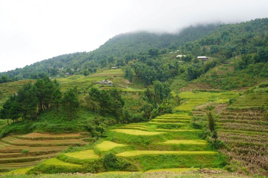 Sapa Full Day Trip to Ta Phin - Cat Cat Village With Lunch