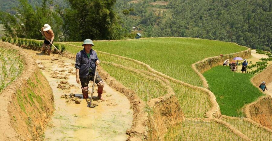 Sapa Hard Trekking Villages and Homestay 2 Days 1 Night Trip - Activity Details