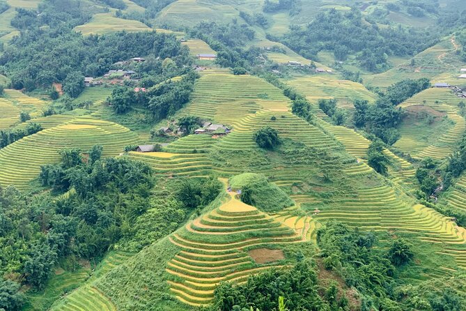Sapa The Hidden Trail Trek 1 Day - Mountain & Rice Valley - Pickup and Transportation