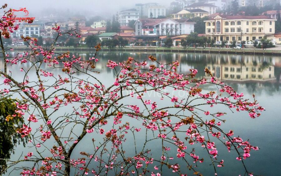 SAPA TOUR 3 DAYS 2 NIGHTS PACKAGE - DEPART IN THE EVENING