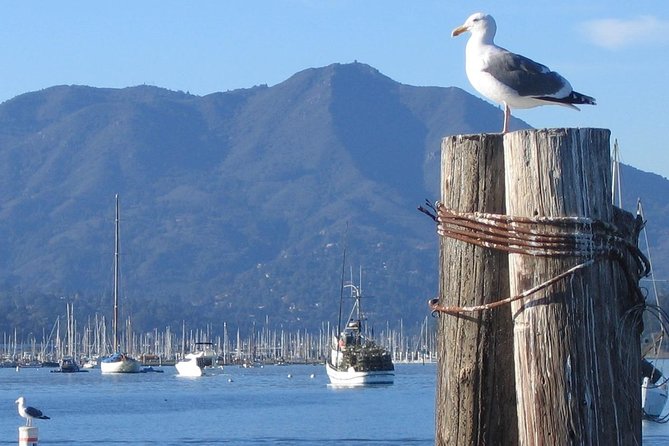 Sausalito Ferry From Pier 41, San Francisco - Inclusions and Exclusions